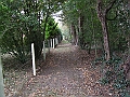 futur trail 036